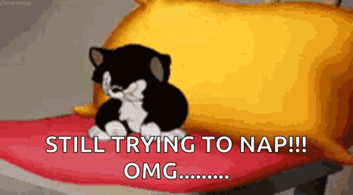 A Black And White Cat Is Sitting On A Pillow With The Words Still Trying To Nap Omg .. GIF
