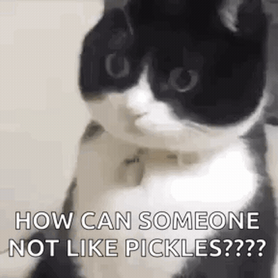 A Black And White Cat Is Sitting On A Table And Looking At The Camera . GIF