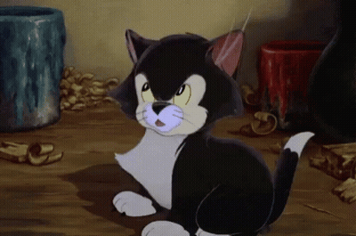 A Black And White Cat Is Sitting On A Wooden Floor GIF