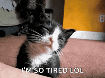 A Black And White Cat Is Sleeping On A Couch With The Words I 'M So Tired Lol Written Below It . GIF