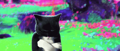 A Black And White Cat Is Standing In A Field Of Flowers With Its Arms Crossed . GIF