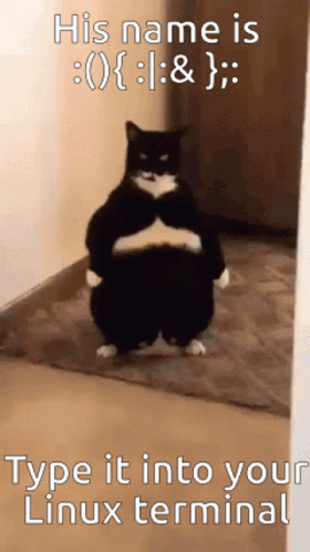 A Black And White Cat Is Standing In A Hallway With A Caption That Says His Name Is GIF