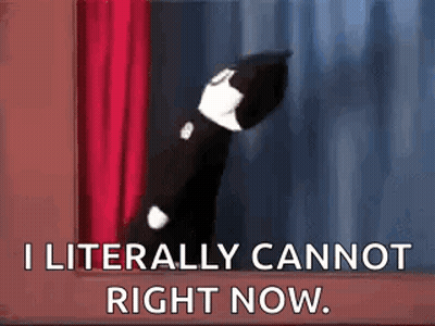 A Black And White Cat Is Standing In Front Of A Red Curtain And Saying `` I Literally Cannot Right Now . '' GIF