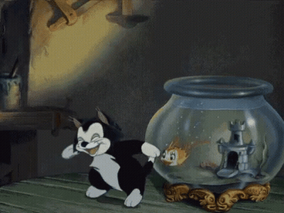 A Black And White Cat Is Standing Next To A Fish Bowl GIF