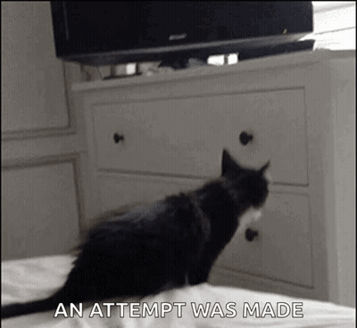 A Black And White Cat Is Standing On A Bed Next To A Dresser And A Tv . GIF