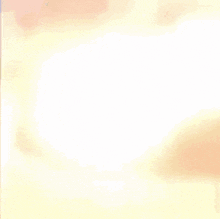A Black And White Cat Is Standing On A Green Field Looking At The Camera . GIF