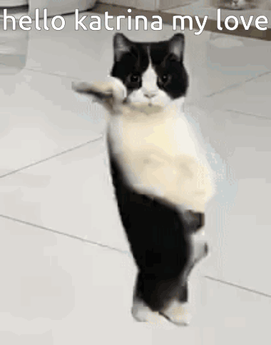 A Black And White Cat Is Standing On Its Hind Legs And Holding Something In Its Paw . GIF