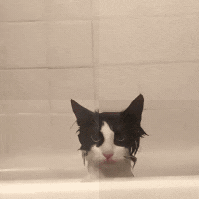 A Black And White Cat Is Taking A Bath In A Tub GIF