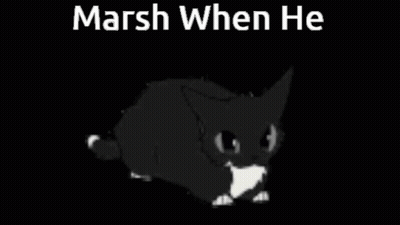 A Black And White Cat Is Walking In The Dark With The Words `` Marsh When He '' . GIF