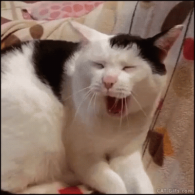 A Black And White Cat Is Yawning With Its Eyes Closed . GIF