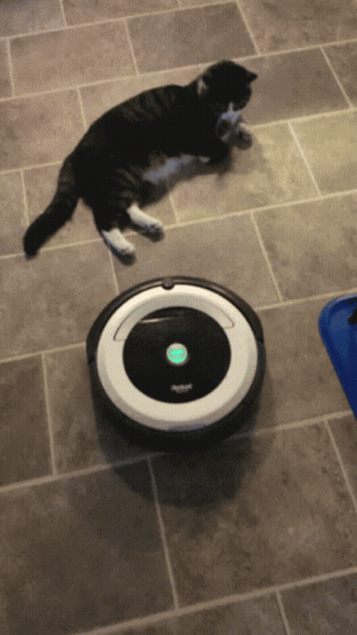 A Black And White Cat Laying Next To An Irobot Vacuum GIF