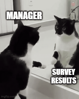A Black And White Cat Looking At Its Reflection In A Mirror With The Words Manager Survey Results GIF