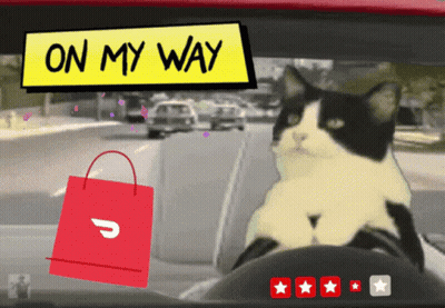 A Black And White Cat Sits In The Driver 'S Seat Of A Car GIF