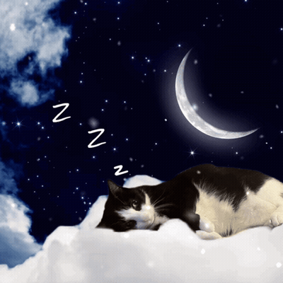 A Black And White Cat Sleeping On A Cloud With A Crescent Moon And Stars In The Background GIF
