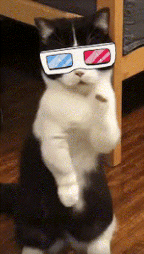 A Black And White Cat Wearing 3D Glasses Is Standing On Its Hind Legs GIF