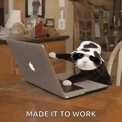 A Black And White Cat Wearing A Cow Hat Is Sitting In Front Of An Apple Laptop . GIF