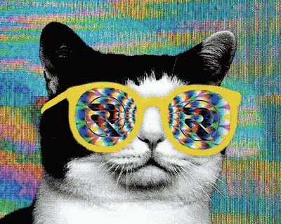 A Black And White Cat Wearing A Pair Of Yellow Glasses With A Colorful Background GIF