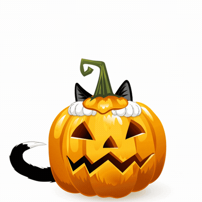 A Black And White Cat Wearing A Pumpkin Hat Is Sitting In A Halloween Pumpkin GIF