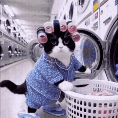A Black And White Cat Wearing Curlers Is Putting Clothes In A Washing Machine GIF