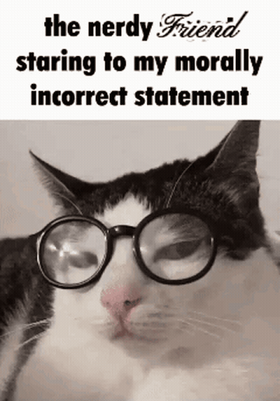 A Black And White Cat Wearing Glasses And A Caption That Says `` The Nerdy Friend Staring To My Morally Incorrect Statem GIF