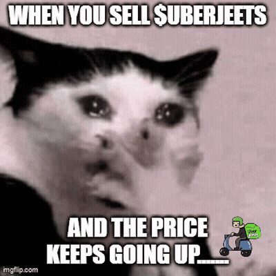 A Black And White Cat With A Caption That Says " When You Sell $ Suberjeets And The Price Keeps Going Up " GIF