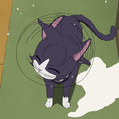 A Black And White Cat With A Ring Around Its Head GIF