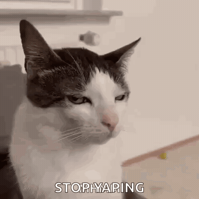 A Black And White Cat With A Serious Look On Its Face Is Sitting On A Table . GIF