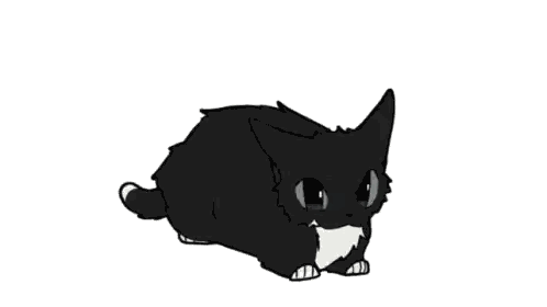 A Black And White Cat With A White Stripe On Its Chest Is Standing On A White Background . Sticker