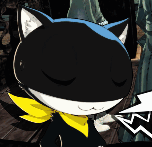 A Black And White Cat With A Yellow Scarf Around His Neck GIF