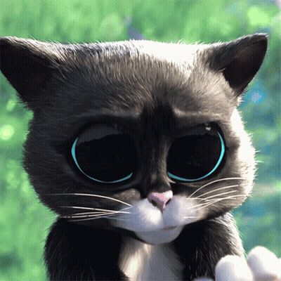 A Black And White Cat With Big Blue Eyes Looks At The Camera GIF