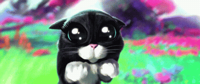 A Black And White Cat With Big Eyes Is Standing In A Field GIF