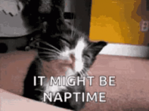 A Black And White Cat With Its Eyes Closed And The Words It Might Be Naptime GIF
