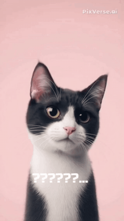 A Black And White Cat With Its Mouth Open And The Words Ha Ha Ha Ha On It GIF