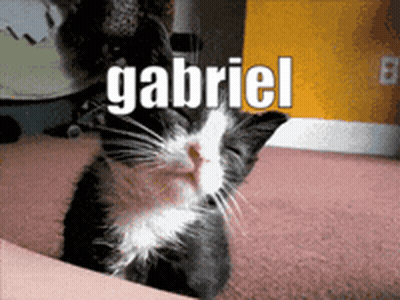A Black And White Cat With The Name Gabriel Written On It GIF