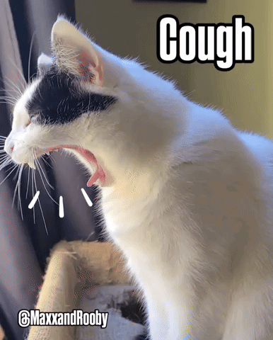A Black And White Cat With The Word Cough Written On It GIF