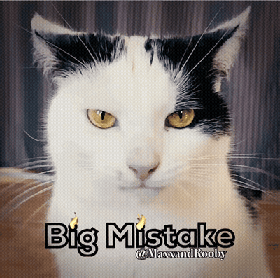 A Black And White Cat With The Words Big Mistake Written Below It GIF