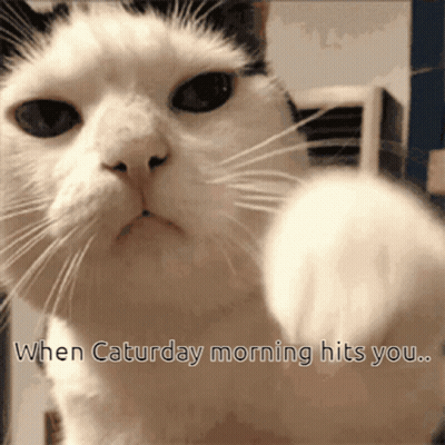 A Black And White Cat With The Words When Saturday Morning Hits You Below It GIF