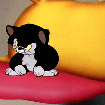 A Black And White Cat With Yellow Eyes Sits On A Pink Pillow GIF
