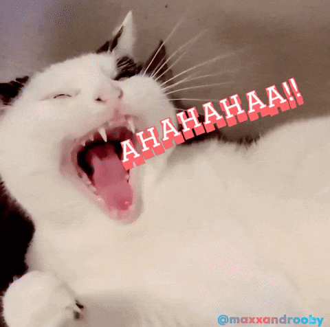 A Black And White Cat Yawning With A Caption That Says Ahahaaa GIF