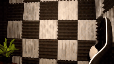 A Black And White Checkered Wall With A Plant GIF
