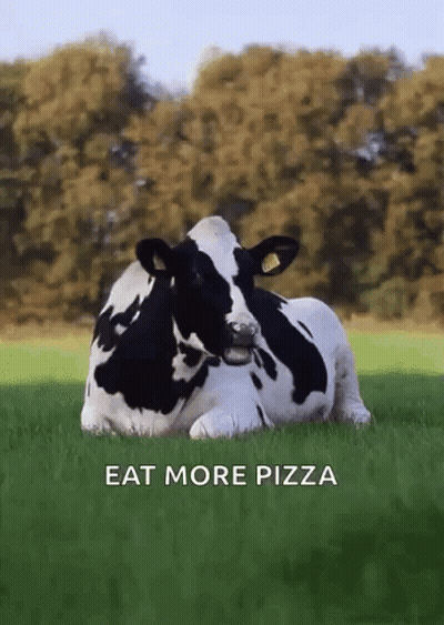 A Black And White Cow Is Laying In The Grass With The Words Eat More Pizza Below It GIF