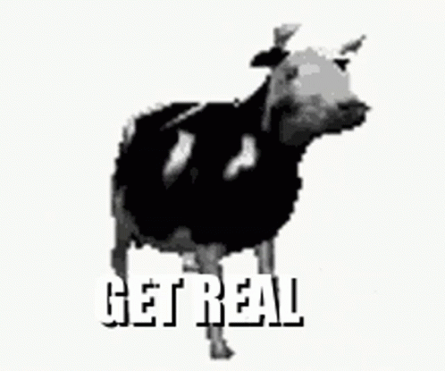 A Black And White Cow Is Standing In Front Of A White Background And The Words `` Get Real '' Are Written On It . GIF
