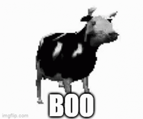 A Black And White Cow Is Standing On A White Background With The Words `` Boo '' Written On It . GIF