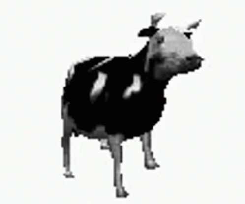 A Black And White Cow Is Standing On A White Surface . GIF