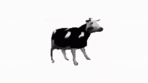 A Black And White Cow Is Standing On A White Surface GIF