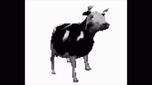 A Black And White Cow Is Standing On Its Hind Legs On A White Background . GIF