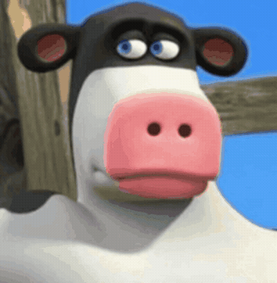A Black And White Cow With A Pink Nose GIF