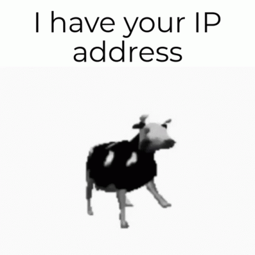 A Black And White Cow With The Words I Have Your Ip Address Above It GIF