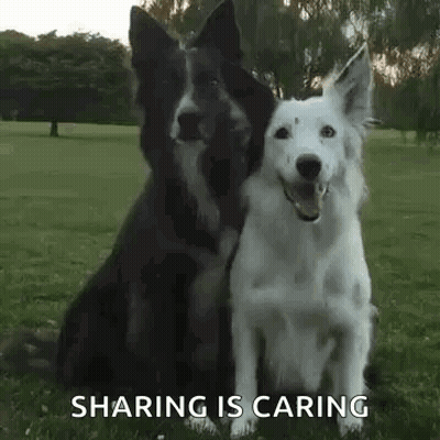 A Black And White Dog Are Sitting Next To Each Other In A Grassy Field . GIF