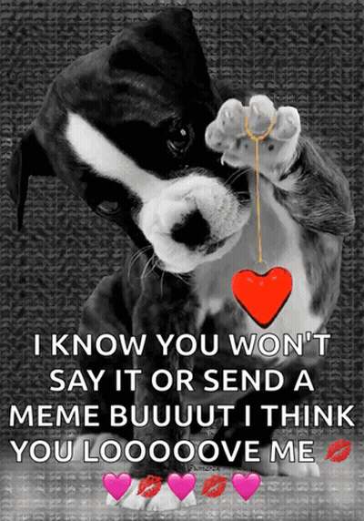 A Black And White Dog Holding A Red Heart In Its Paws GIF